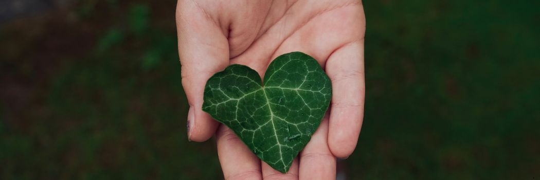 A heart shaped green leaf held in the palm of someone's hand