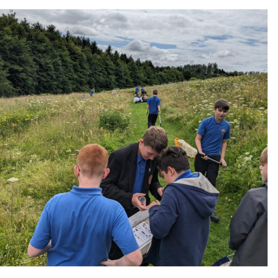 School pupils in a field