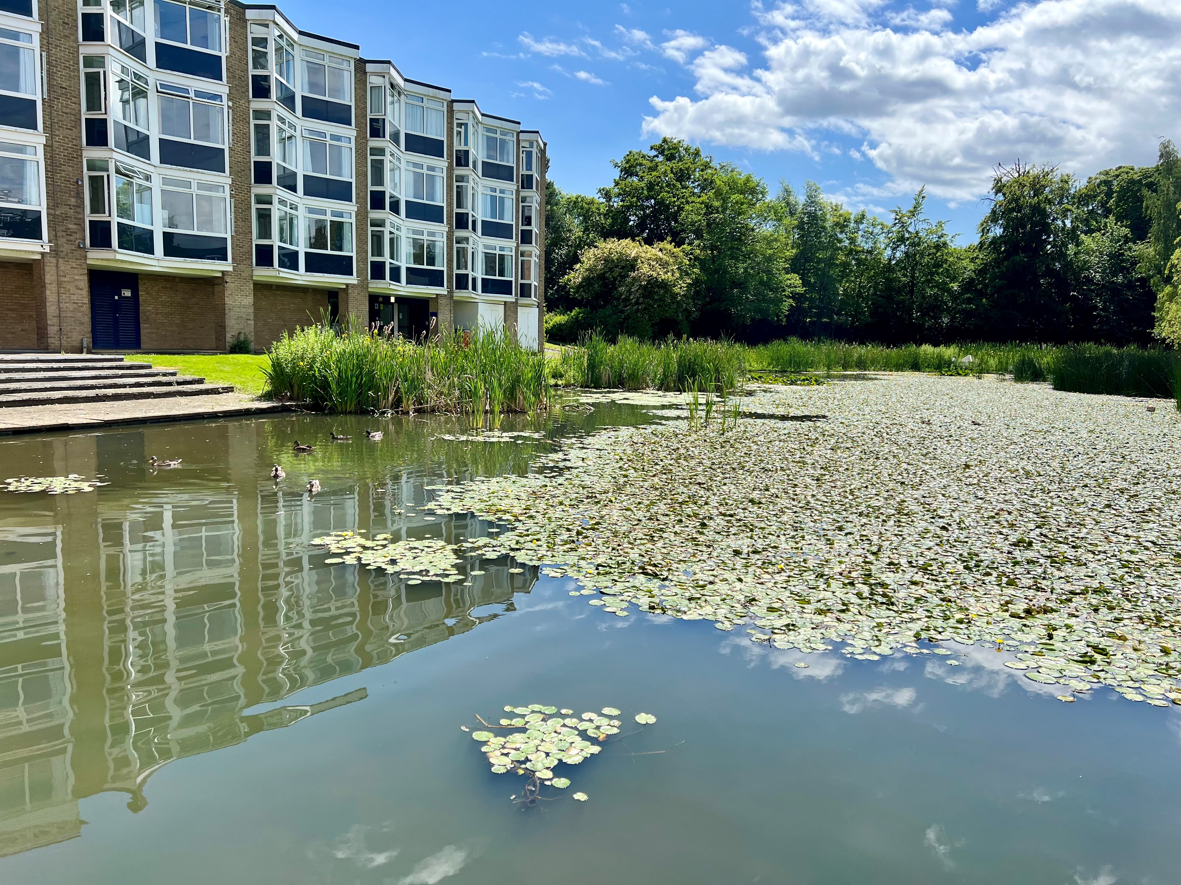 Van Mildert's duck pond and accommodation block