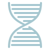 Icon image of a DNA strand