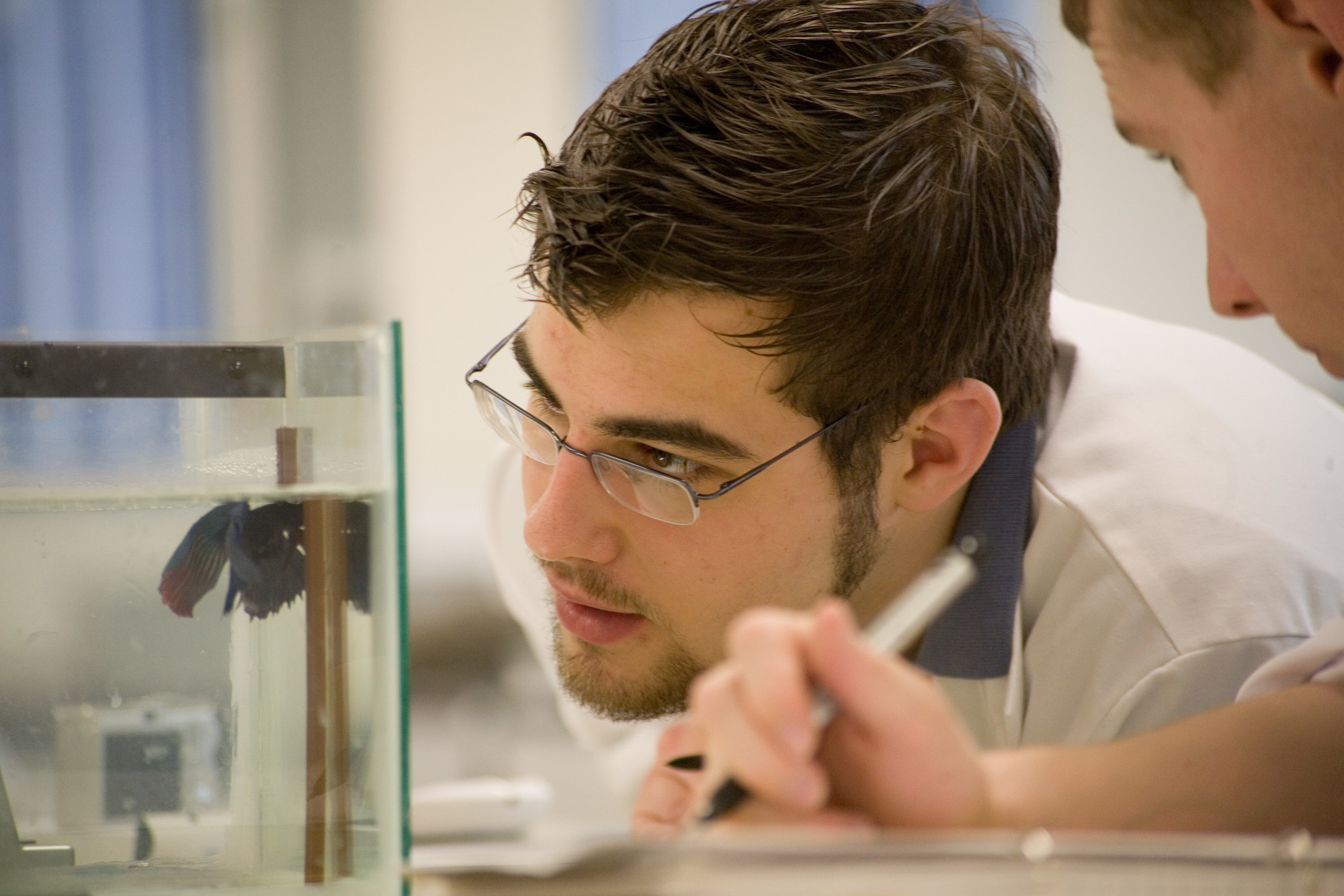 Student looking closely at a block