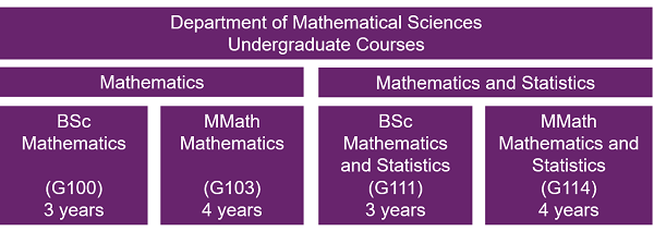 Overview UG courses