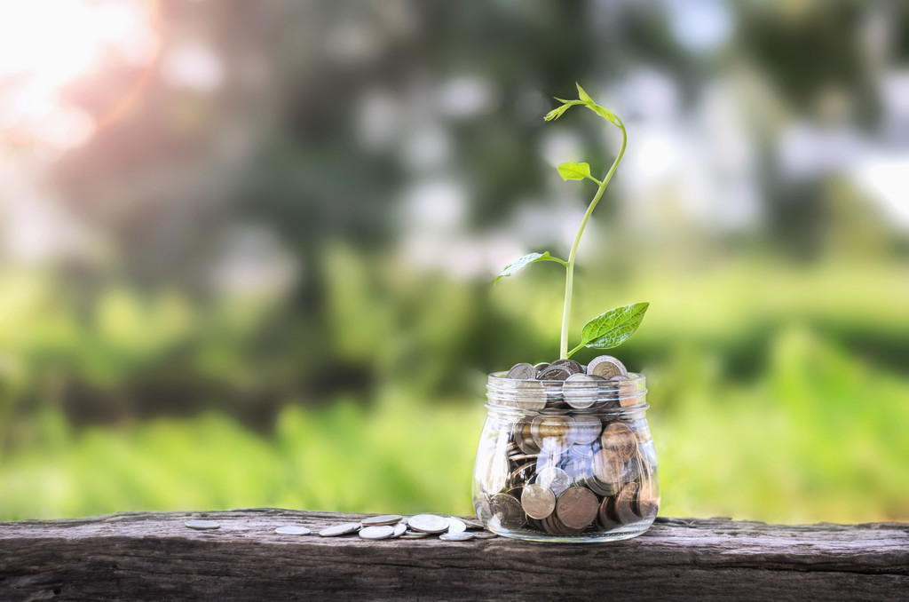 Money growing in jar