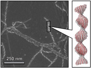 An image from Nature Chemistry 11 375 (2019)